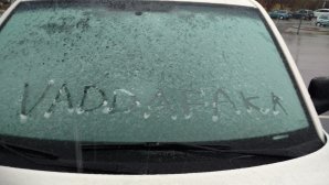 IMG_20160401_071320501.jpg
