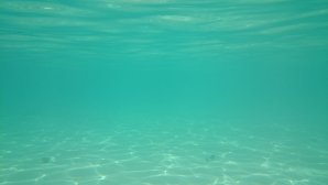 DSC_0138.JPG
