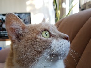 20160412_170027.jpg
