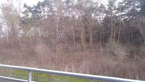 20160421_205017.jpg