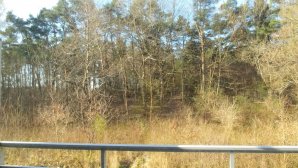 20160422_083842.jpg