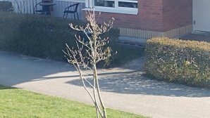 20160422_083812.jpg