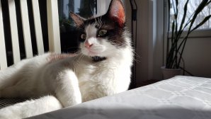 20160430_163145.jpg