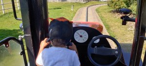 IMG_20220729_115546.jpg
