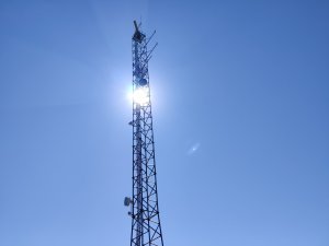 IMG_20220729_124112.jpg