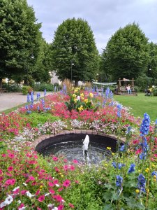 DSC_0039.JPG