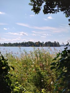 DSC_0071.JPG