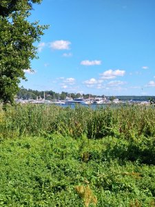 DSC_0079.JPG