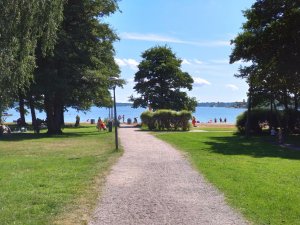 DSC_0090.JPG
