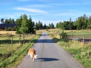DSC_0166.JPG