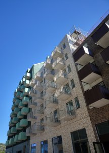 IMG_20220811_125048.jpg