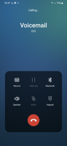 Screenshot_20220819-164159_Call.png