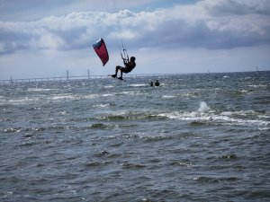 IMG_20220820_141258_1.jpg