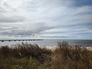 IMG_20220820_143213.jpg