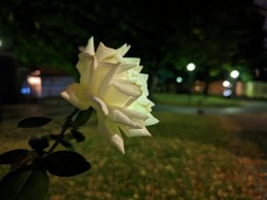 PXL_20220820_220105804.NIGHT.jpg