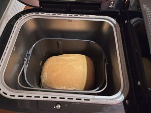 IMG_2473.jpg