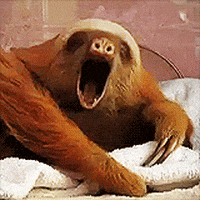 F72A7178-7AF0-4E76-ABC6-9DA11729BDD8.gif