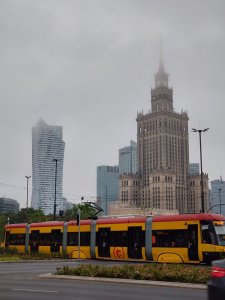 DSC_0223.JPG