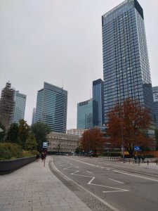 DSC_0242.JPG