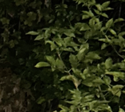 Screenshot 2022-09-15 at 17.18.40.png
