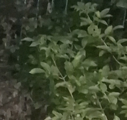 Screenshot 2022-09-15 at 17.18.43.png