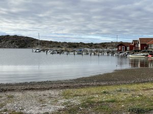 D22DDEAB-0C74-4C5D-8B23-1262D2D3492C_1_100_o.jpeg