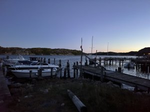 2ED8639A-4C2C-470F-A880-7C1BC7E95721.jpeg