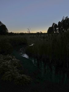 B531B85C-B015-4152-9799-527C95CFFED2.jpeg