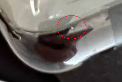 upload_2022-9-21_14-1-3.png