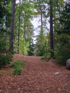 DSC_0319.JPG