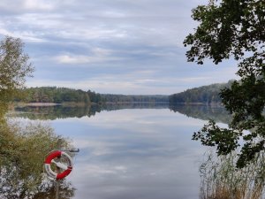 IMG_20220925_091531.jpg
