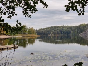 IMG_20220925_092044.jpg