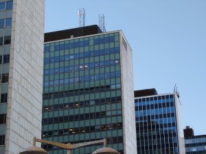 20221004_164946.JPG