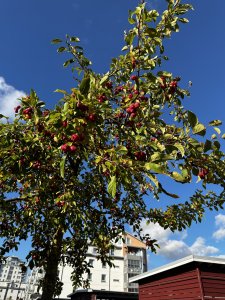 IMG_0242.jpeg