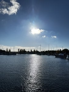 IMG_0261.jpeg
