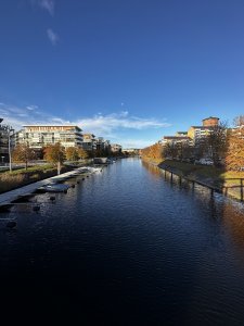 IMG_0292.jpeg