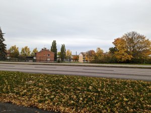 PXL_20221017_130551047.jpg