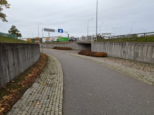 PXL_20221017_131026666.jpg