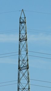 PXL_20221016_144545183.jpg