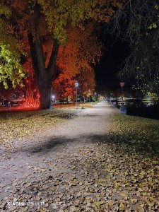 IMG_20221029_195837.jpg