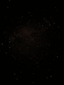 E2D5ADC6-B7EF-46F6-899F-3BA1473F9DBC.jpeg