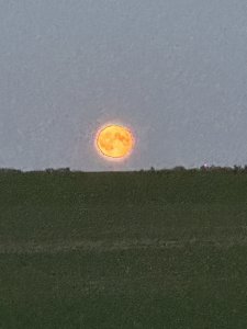 68EEE199-19C8-4422-8E59-808DE2B63BA6.jpeg
