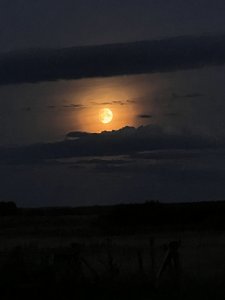C0FF168C-2CAD-4A78-93CA-0436B268D617.jpeg