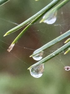 90F6D121-820D-4C8F-BEF9-79169E2F3FAA.jpeg