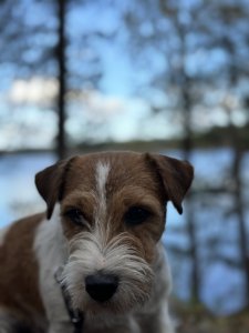 38AA5D8E-CB1C-4BB1-9AC2-20564B02F40B.jpeg