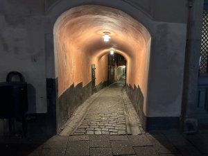 A8E96FFD-FDFC-4079-8AB6-1E255D06E5FE.jpeg