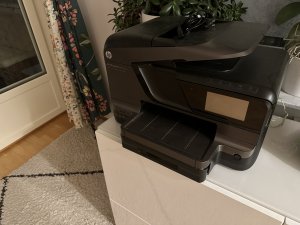 IMG_0151.jpeg