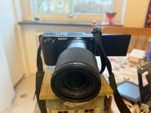 IMG_24031.jpg