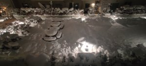 IMG_20221121_070030.jpg