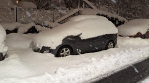 IMG-20221121-WA0054__01.jpg